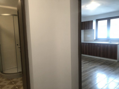 Apartamente de inchiriat Sibiu Tilisca imagine mica 5