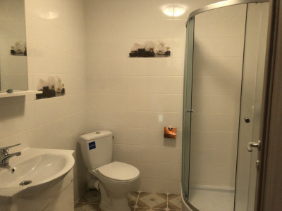 Apartamente de inchiriat Sibiu Tilisca imagine mica 8