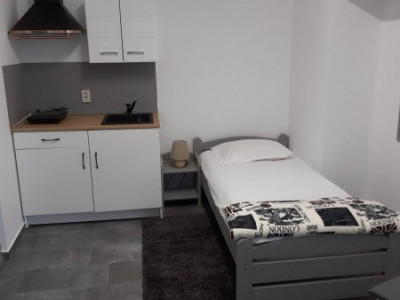 Hoteluri de inchiriat Sibiu Orasul de Jos imagine mica 3