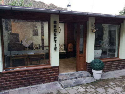 Hoteluri de inchiriat Sibiu Orasul de Jos imagine mica 4