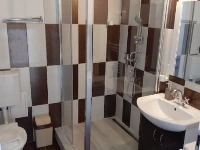 Hoteluri de inchiriat Sibiu Orasul de Jos imagine mica 7