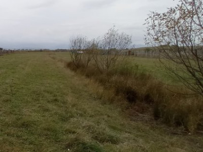 Terenuri de vanzare Sibiu Selimbar imagine mica 3