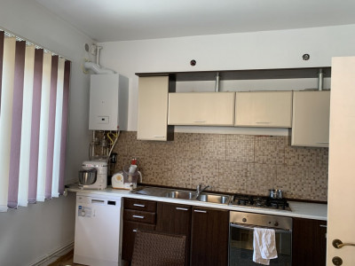 Case de vanzare Sura Mare imagine mica 3