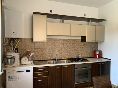 Case de vanzare Sura Mare imagine mica 4