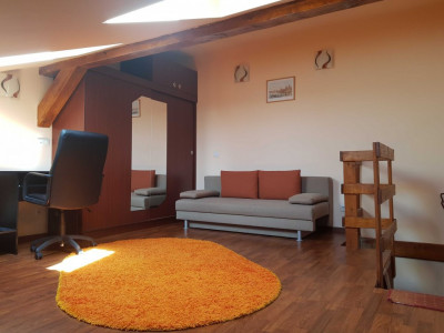 Apartamente de vanzare Sibiu Terezian imagine mica 11