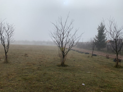 Terenuri de vanzare Sibiu Broscarie imagine mica 5