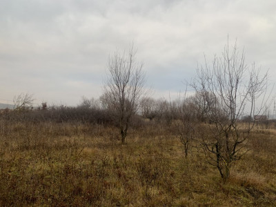 Terenuri de vanzare Sibiu Veterani imagine mica 8