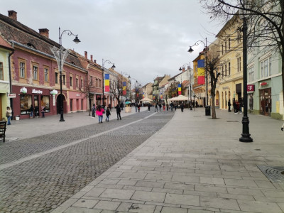 Spatii comerciale de vanzare Sibiu Centrul Istoric imagine mica 1