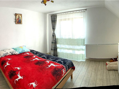 Case de vanzare Sibiu Turnisor imagine mica 8