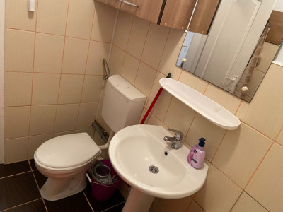 Apartamente de vanzare Sibiu Siretului imagine mica 9