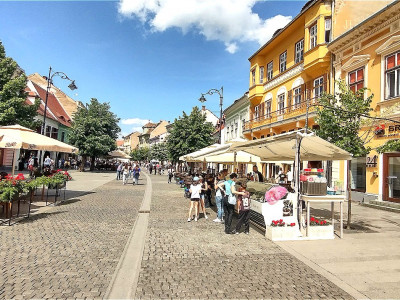 Apartament la cheie 2 camere 80 mpu in zona Centrului Istoric Sibiu