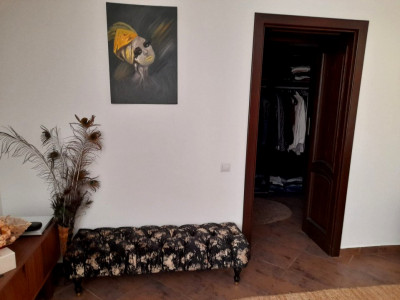 Case de vanzare Seica Mica imagine mica 30