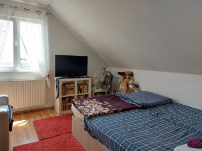 Apartamente de vanzare Sibiu Vasile Aaron imagine mica 12