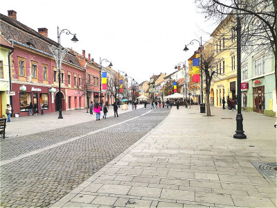 Spatii birouri de inchiriat Sibiu Centrul Istoric imagine mica 2