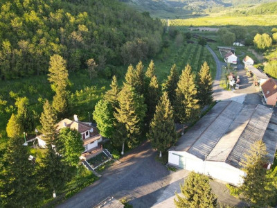 Terenuri de vanzare Sura Mare imagine mica 1