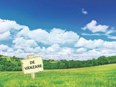 Terenuri de vanzare Sura Mare imagine mica 1
