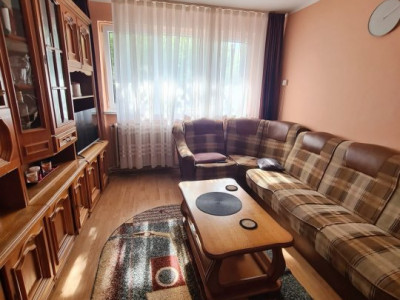 Apartamente de vanzare Sebes imagine mica 2
