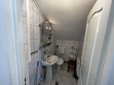 Case de vanzare Sibiu Turnisor imagine mica 27