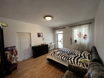 Case de vanzare Sibiu Turnisor imagine mica 36