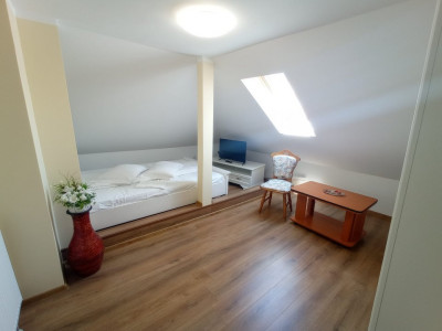 Apartamente de inchiriat Sibiu Central imagine mica 9