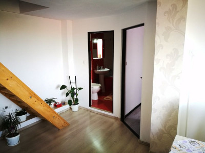 Apartamente de vanzare Sibiu Rahovei imagine mica 4