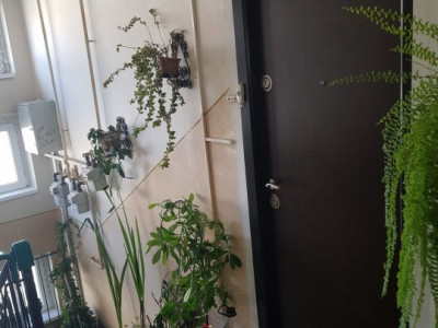 Apartamente de vanzare Sibiu Mihai Viteazul imagine mica 8