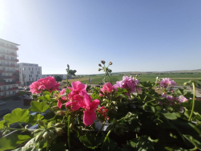 Apartamente de vanzare Sibiu Calea Surii Mici imagine mica 6