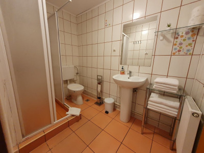 Hoteluri de vanzare Sibiu Lazaret imagine mica 12