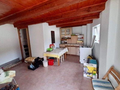 Case de vanzare Saliste imagine mica 16