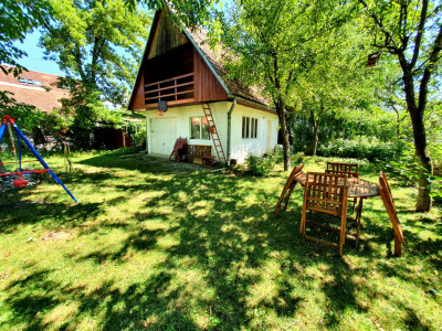 Apartamente de vanzare Sibiu Sub Arini imagine mica 6