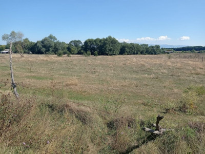 Terenuri de vanzare Sibiu Selimbar imagine mica 2