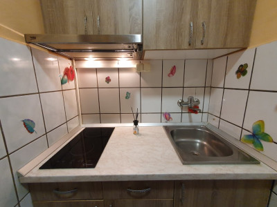 Apartamente de vanzare Sibiu Terezian imagine mica 6