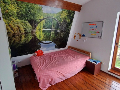 Case de vanzare Tocile imagine mica 5