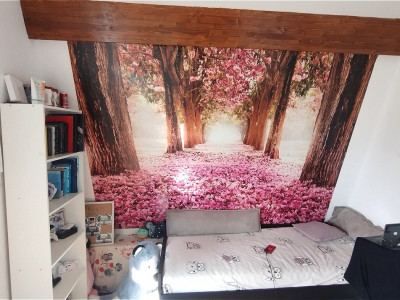 Case de vanzare Tocile imagine mica 6
