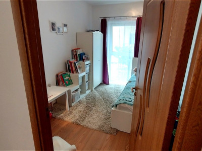 Case de vanzare Sibiu Turnisor imagine mica 25