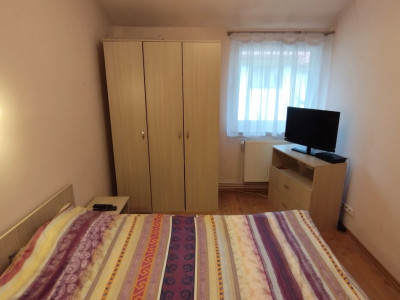 Case de vanzare Sibiu Turnisor imagine mica 26