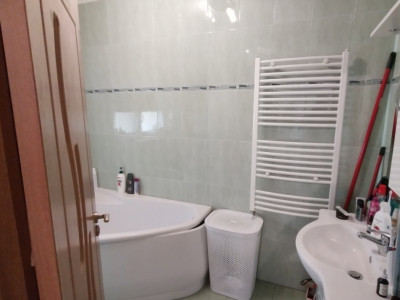 Case de vanzare Sibiu Turnisor imagine mica 29