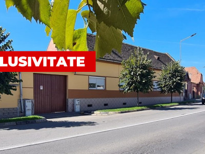 Case de vanzare Sebes imagine mica 1