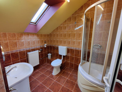 Spatii birouri de inchiriat Sibiu Central imagine mica 5