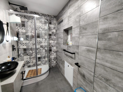 Case de vanzare Sura Mare imagine mica 7