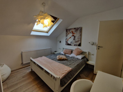 Case de vanzare Sura Mare imagine mica 20