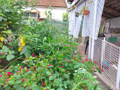 Apartamente de vanzare Cisnadie imagine mica 8