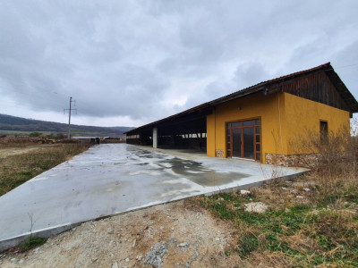 Spatii industriale de inchiriat Orlat imagine mica 5