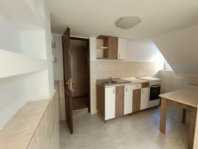 Apartamente de vanzare Sibiu Trei Stejari imagine mica 7