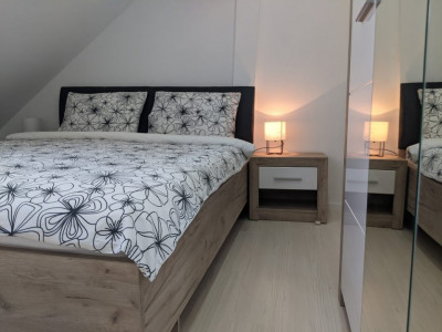 Apartamente de inchiriat Sibiu Vasile Aaron imagine mica 4