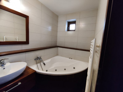Spatii birouri de inchiriat Sibiu Turnisor imagine mica 7