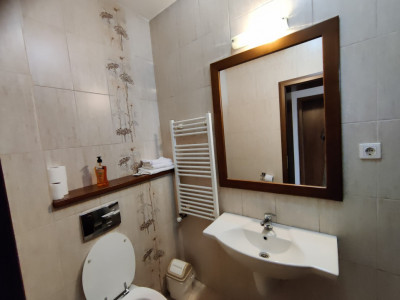 Spatii birouri de inchiriat Sibiu Turnisor imagine mica 8