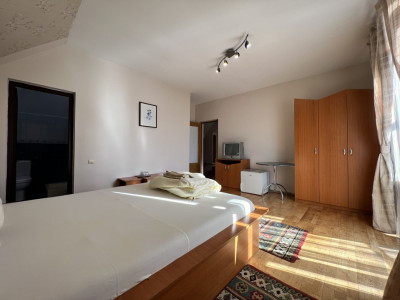 Case de vanzare Sibiu Turnisor imagine mica 20
