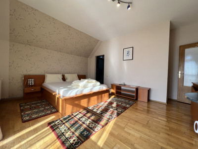 Hoteluri de vanzare Sibiu Turnisor imagine mica 4
