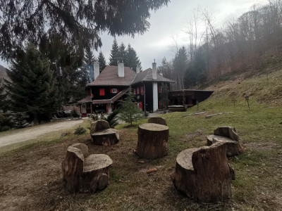 Hoteluri de vanzare Cisnadie imagine mica 2